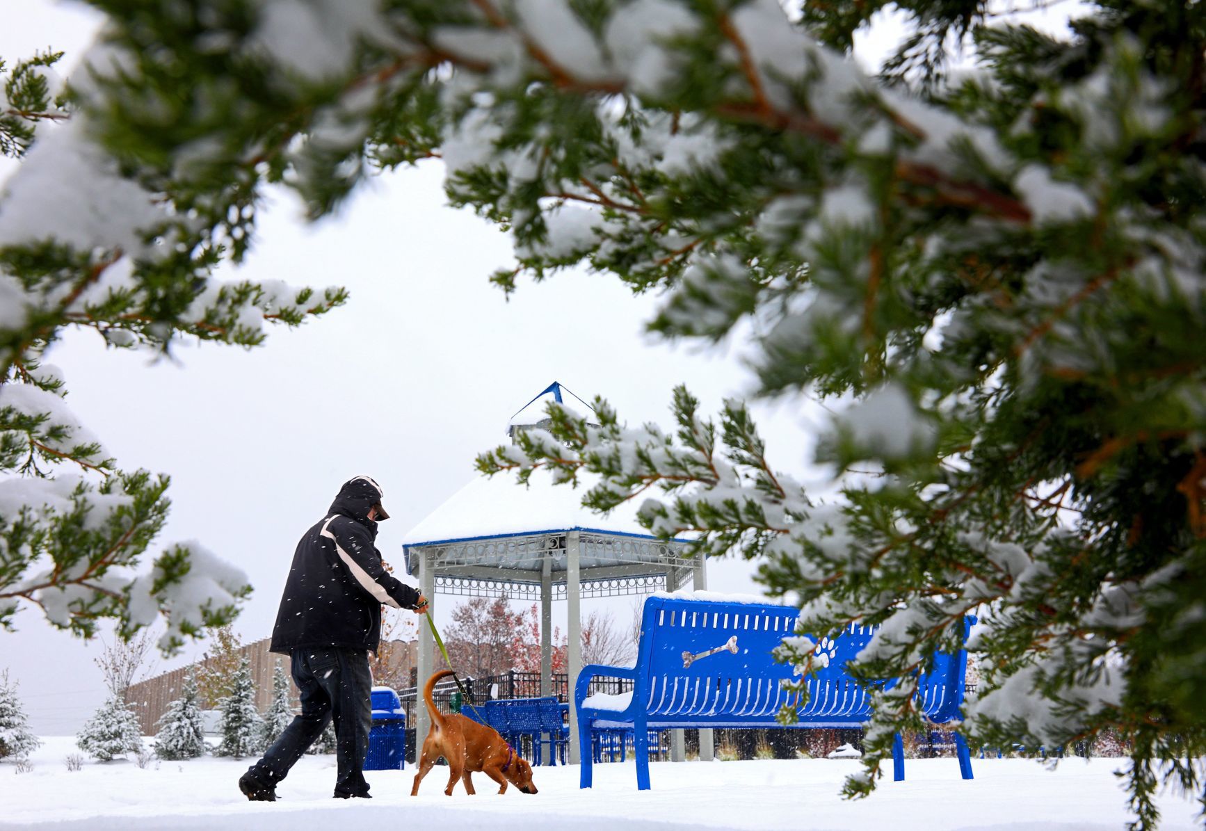 Overnight, morning snowfall blankets St. Louis area